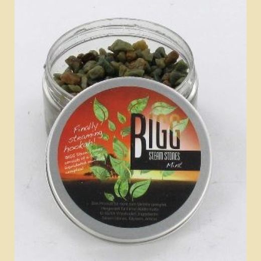 Bigg Steam Stones Mint