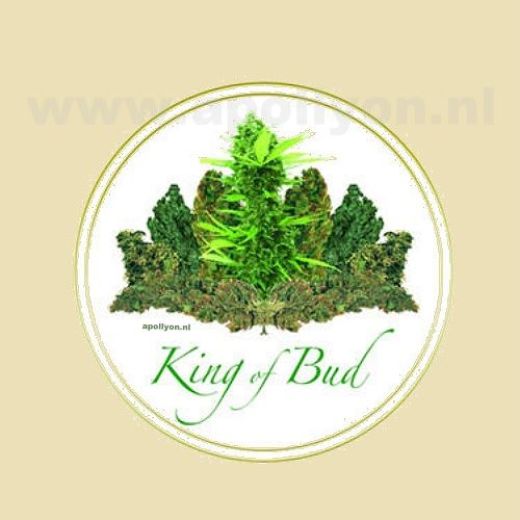 Blikje Rond King of Bud 8cm