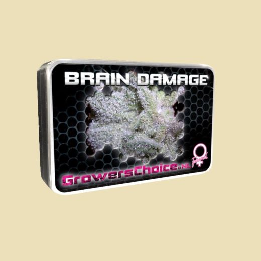 Brain Damage