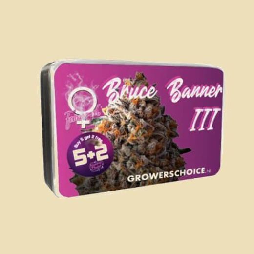 Bruce Banner III - Fem - Growers Choice