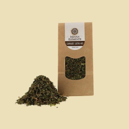 Cannabis Sativa Cannabis Sativa