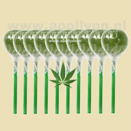 Cannabis Wiet Lolly 10x Cannabis Wiet Lolly 10x