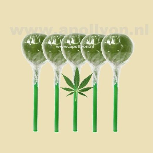 Cannabis Wiet Lolly 5x