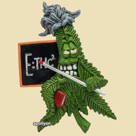 Cannabuds Magneet Teacher