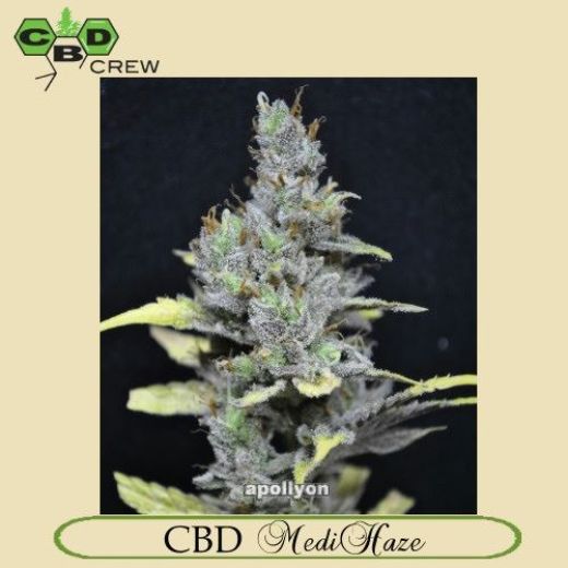 CBD MediHaze