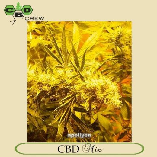 CBD Mix CBD Mix