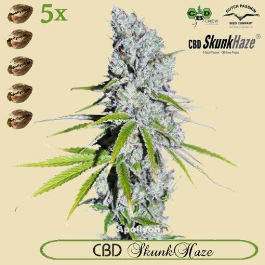 CBD SkunkHaze 5x