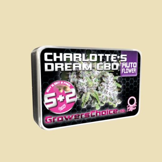 Charlotte's Dream CBD (Autoflower)
