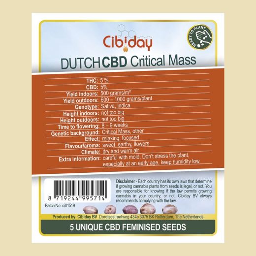 Dutch CBD Critical Mass