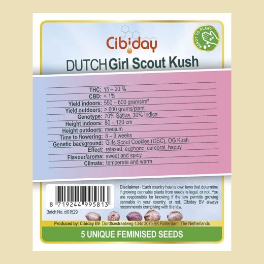 Dutch Girl scout Kush