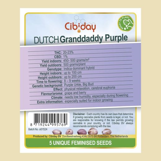 Dutch Granddaddy Purple