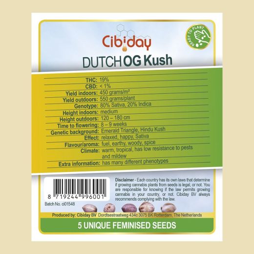 Dutch Og Kush Dutch Og Kush