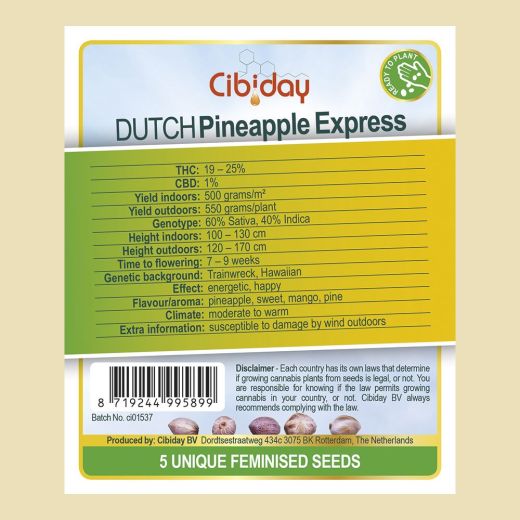 Dutch Pineapple Express