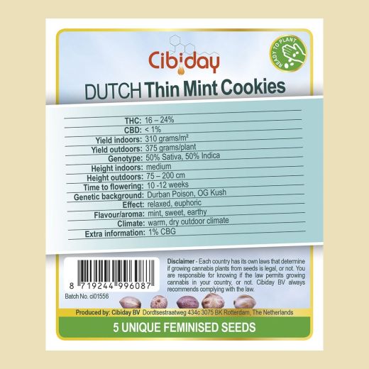 Dutch Thin Mint Cookies Dutch Thin Mint Cookies