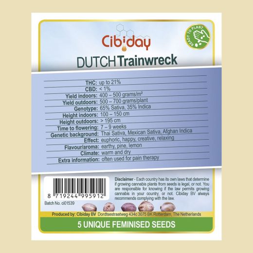 Dutch Trainwreck Dutch Trainwreck