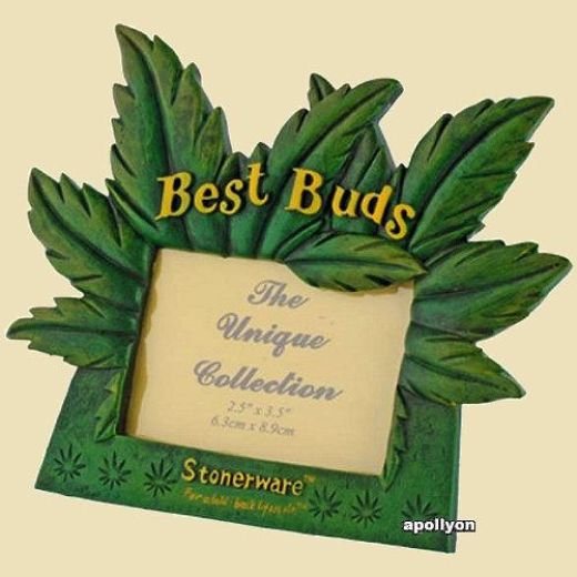 Fotolijst Wiet Best Buds Fotolijst Wiet Best Buds