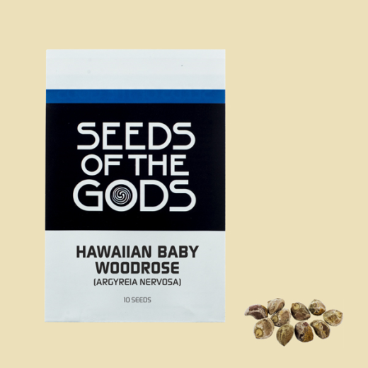 Hawaiian baby woodrose zaden (Argyreia nervosa)