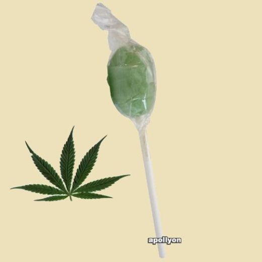 Hennep Lolly Hennep Lolly