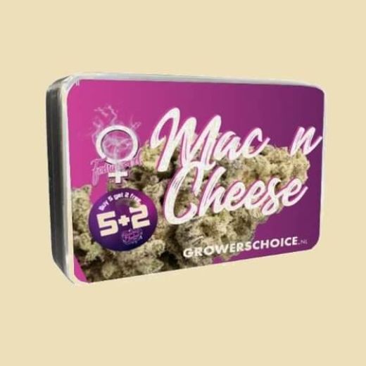 Mac n Cheese