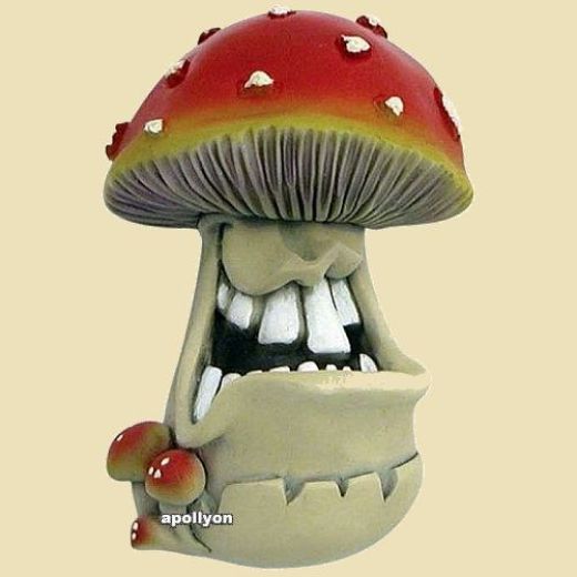 Magneet Funguy Amanita Oogloos