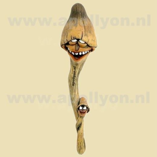 Magneet Funguy Baby Paddo