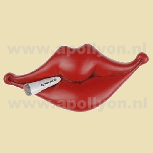 Magneet Lip met Joint