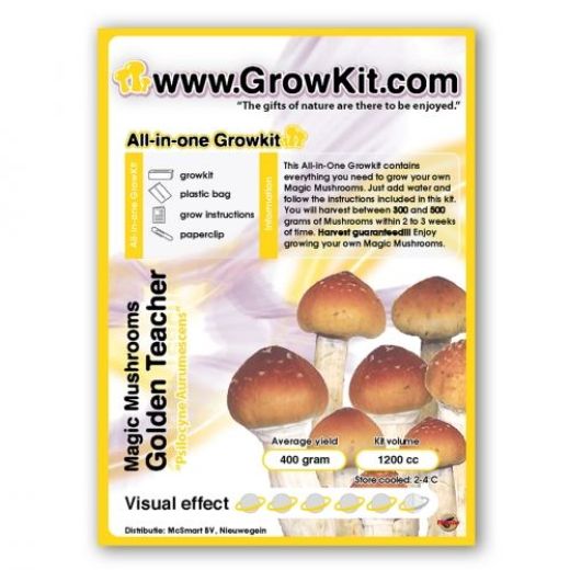 Paddo Kweekset Golden Teacher, All In One