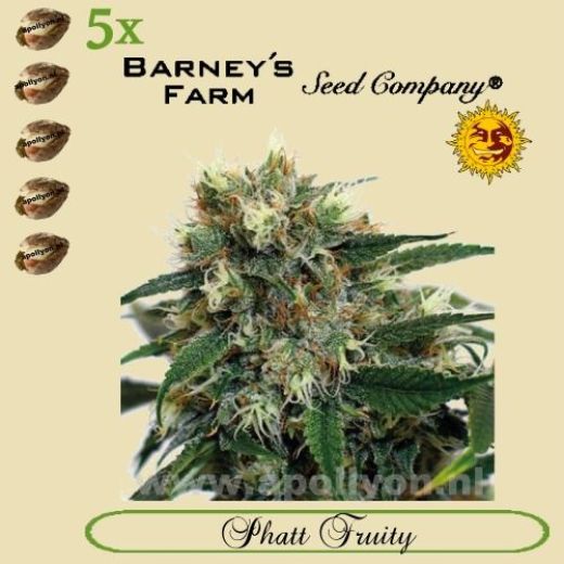 Phatt Fruity 5x Phatt Fruity 5x
