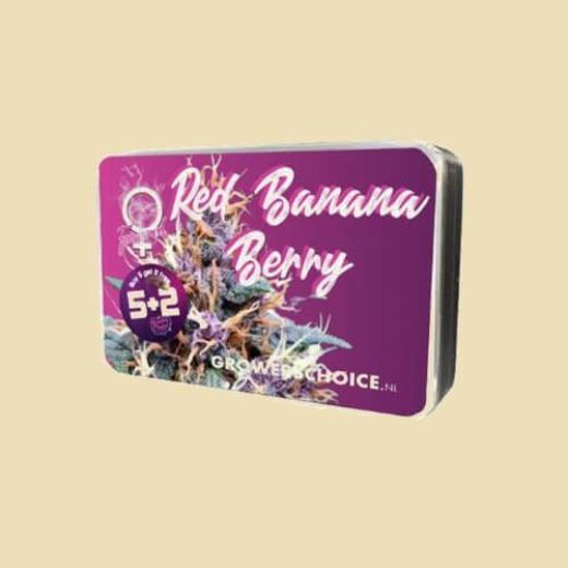 Red Banana Berry - fem - Growers Choice