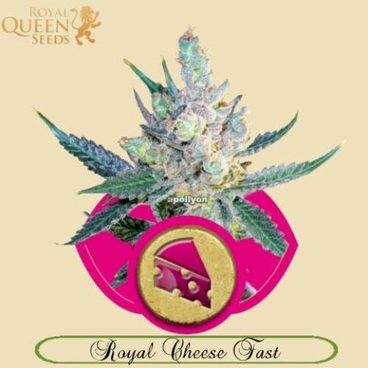 Royal Cheese Fast Version