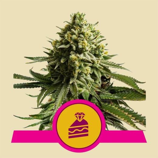 RQS Wedding Cake