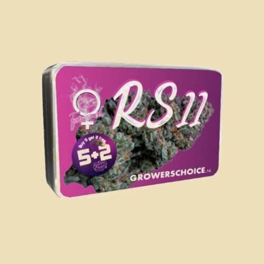 RS11