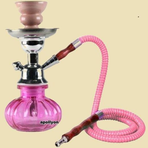 Shisha Pumpkin Roze 1 Slang 24cm Shisha Pumpkin Roze 1 Slang 24cm