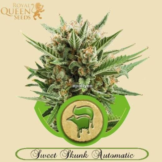 Sweet Skunk Automatic