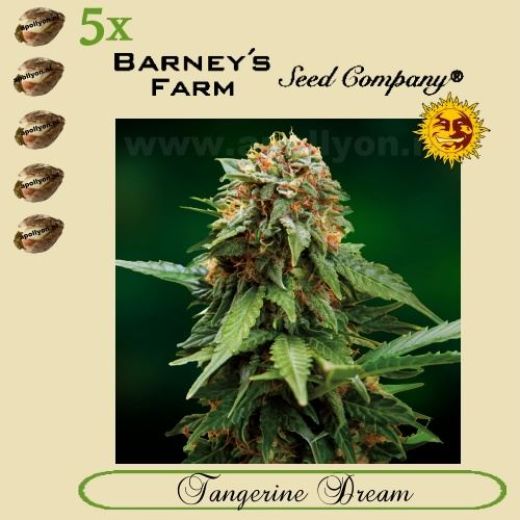 Tangerine Dream 5x Tangerine Dream 5x