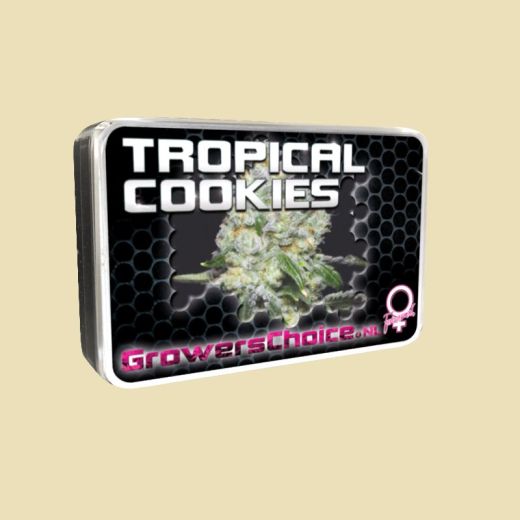 Tropical Cookies