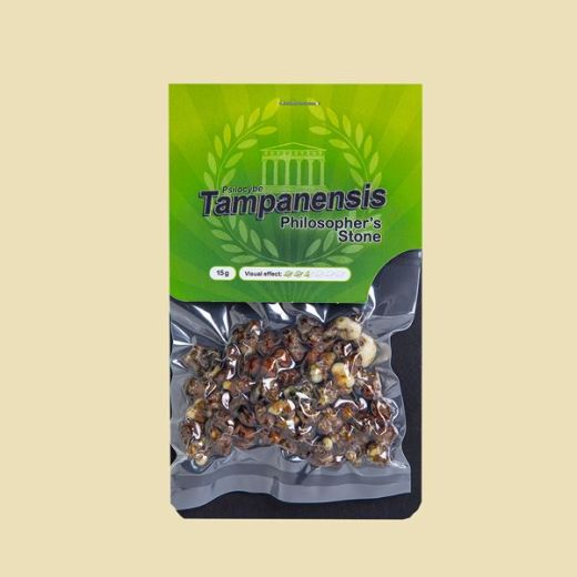 Truffel Tampanensis 15gr