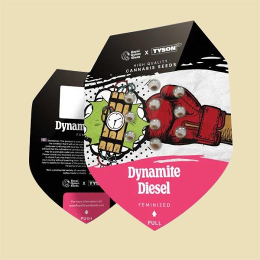 Tyson 2.0 Seeds - Dynamite Diesel - 5 Seeds Tyson 2.0 Seeds - Dynamite Diesel - 5 Seeds