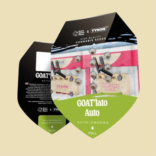 Tyson 2.0 Seeds - GOAT'lato Auto - 5 Seeds Tyson 2.0 Seeds - GOAT'lato Auto - 5 Seeds