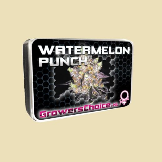 Watermelon Punch
