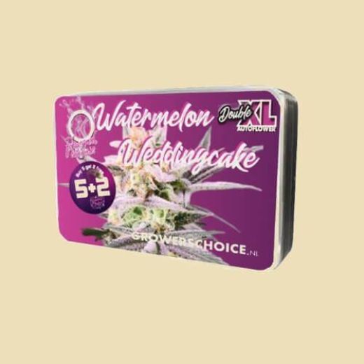 Watermelon Weddingcake (Autoflower)