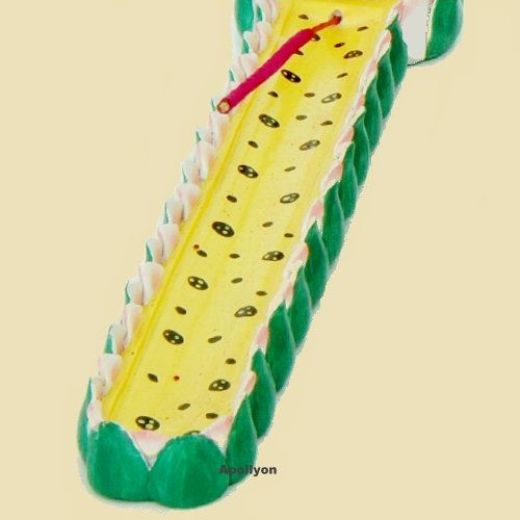 Wierookhouder Lakshimi 23,5cm Wierookhouder Lakshimi 23,5cm