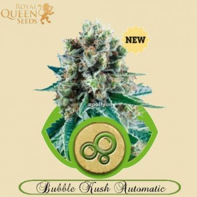 Bubble Kush Automatic