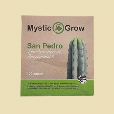 Cactus Zaden San Pedro  Peruvian Torch