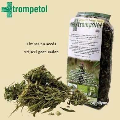 CBD-rijke Hennep Plus