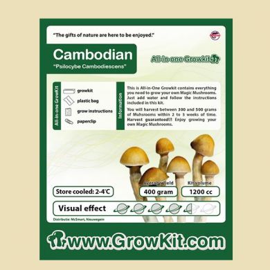 Paddo Kweekset Cambodian, All In One