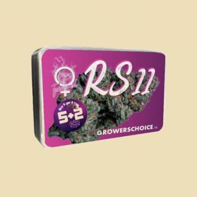 RS11