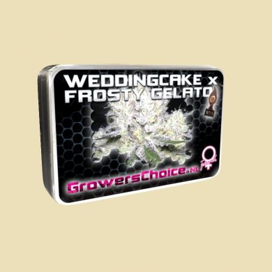 Weddingcake & Frosty Gelato