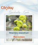 Absintalsem Zaden