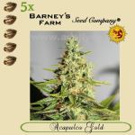 Acapulco Gold 5x